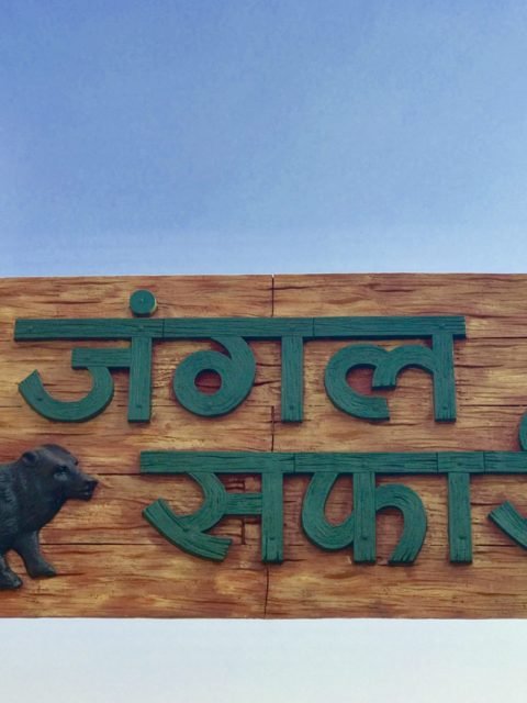 raipur jungle safari