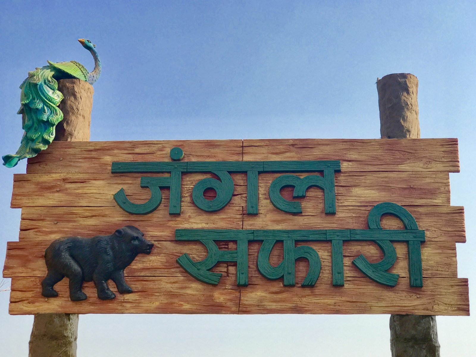 raipur jungle safari